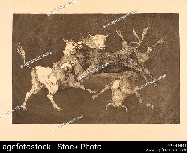 Author: Francisco Jos de Goya y Lucientes. FoolTs Folly, from Disparates - 1816'19, published 1877 - Francisco Jos de Goya y Lucientes (Spanish