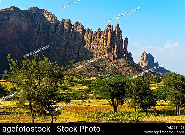 Zerklüftete Felsnadeln im Gheralta Bergmassiv erheben sich über die Hochebne bei Hawzien, Tigray, Äthiopien / Jagged rocks of the Gheralta Mountain range rising...