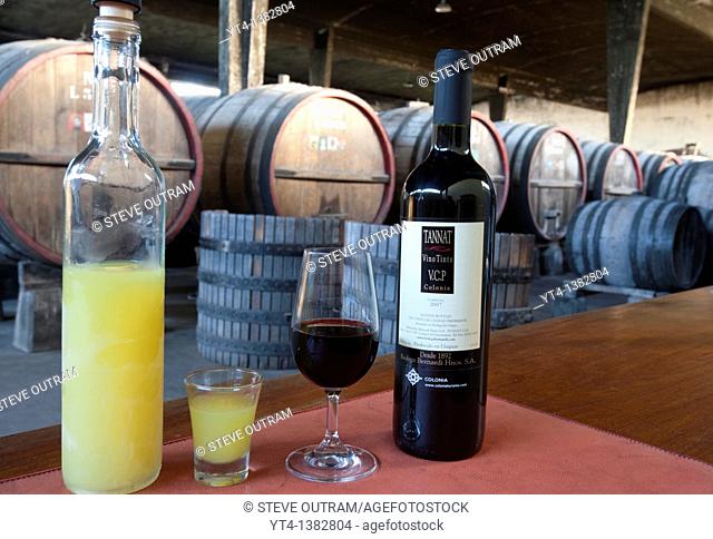 Bottles and glasses of Limoncello Grappa and Tannat Red Wine Bernadi Winery, Colonia del Sacramento, Uruguay, South America