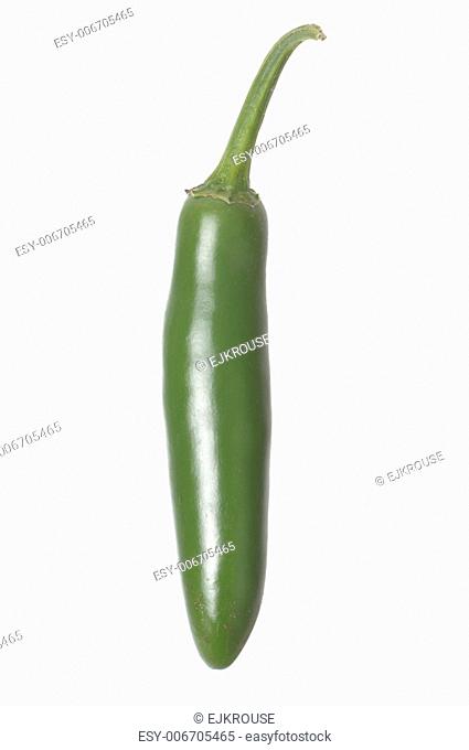 Single Serrano Pepper isolated against a white background