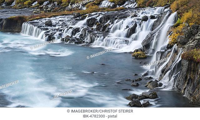 Hraunfossar waterfall in autumn, Vesturland, West Iceland, Iceland, Europe