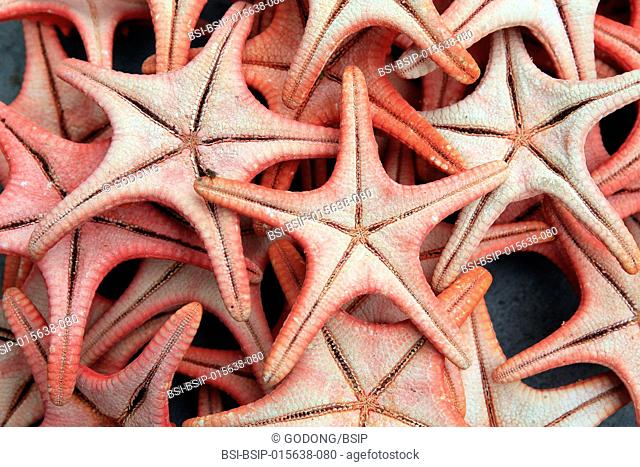Morning market in Duong Dong town. Red sea stars. Phu Quoc. Vietnam