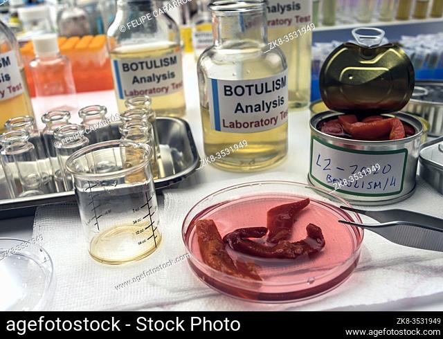 Experienced laboratory scientist analyzes red peppers from a canned food can to analyze botulism infection in sick people, conceptual image