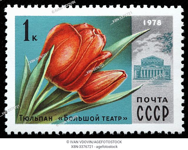 Tulip ""Bolshoi Theatre"", postage stamp, Russia, USSR, 1978