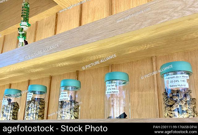 PRODUCTION - 08 January 2023, Thailand, Bangkok: Several varieties of marijuana stand in large jars in the ""Cannabis Kingdom"" store in the Silom district