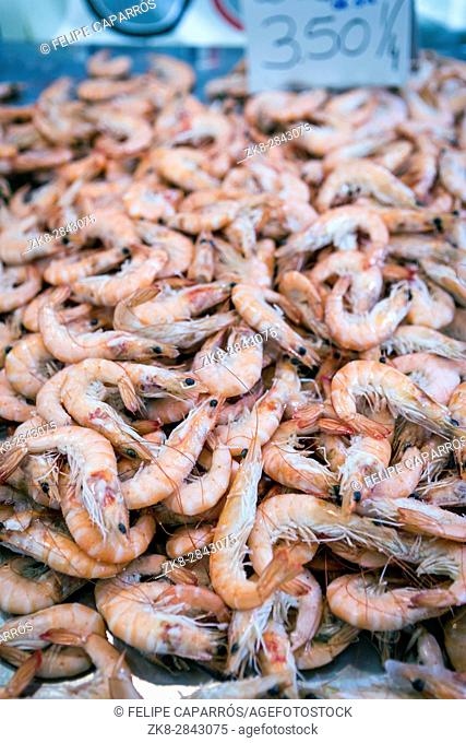 Bunch of Fresh shrimp on the local fish market in Cadiz, Spain