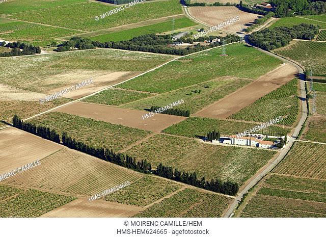 France, Vaucluse, Ste Cecile les Vignes, Domaine de la Grand'Ribe, vineyards AOC Cotes du Rhone aerial view