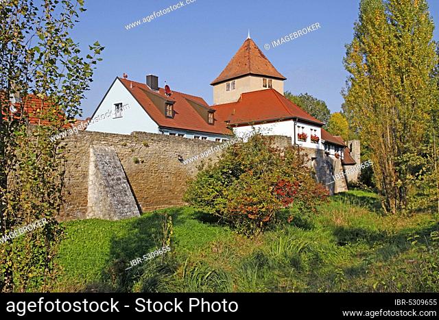 Tithe tower, plague gate, built in the 14th century, town wall, Iphofen, Lower Franconia, Bavaria, Germany, Europe