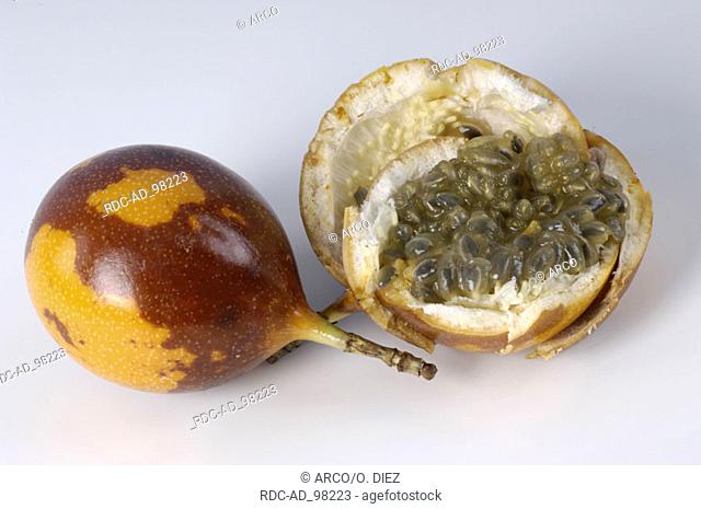 Sweet Granadilla fruit Passiflora ligularis Passifloraceae