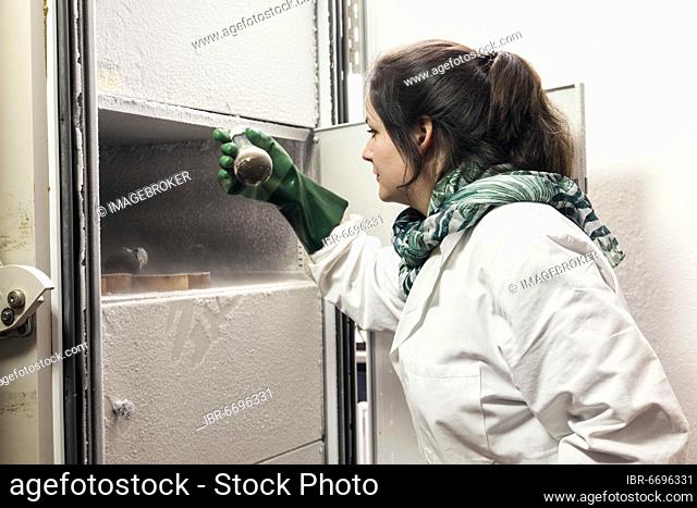 Laboratory technician examines samples in the laboratory icebox at -80 degrees at the Institute for Pharmaceutical Biology and Biotechnology at Heinrich Heine...