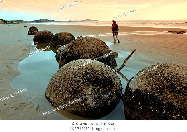 Boulders on the beach of Moeraki, Eastcoast, South Island, New Zealand