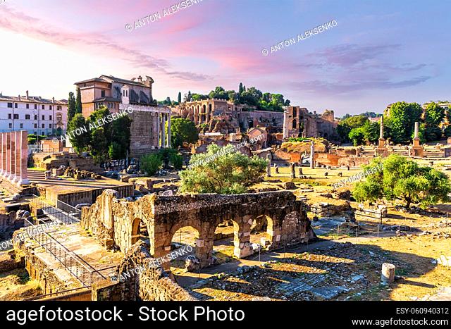 Roman Forum, Tiberius Palace, the Temple of Antoninus, Faustina from the Basilica Aemilia ruins