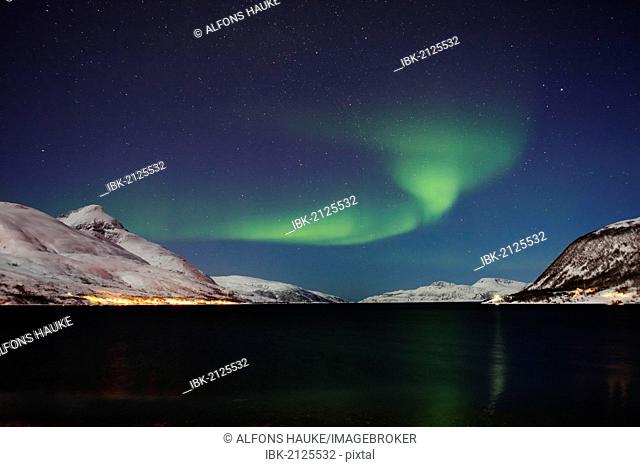 Northern lights over the Kaldfjord, Kvaloya, Tromsø or Tromso, Norway, Europe