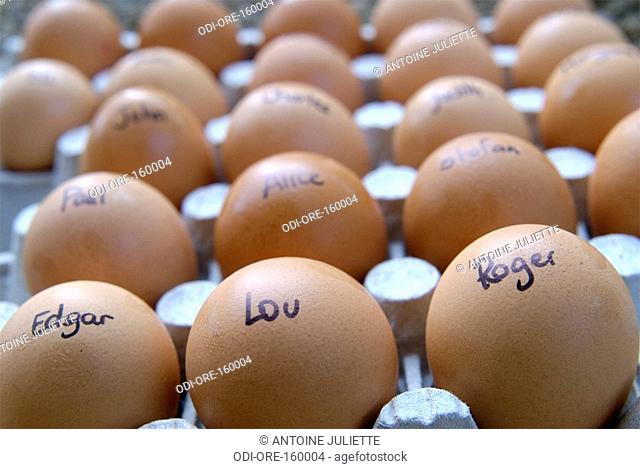 First names eggs