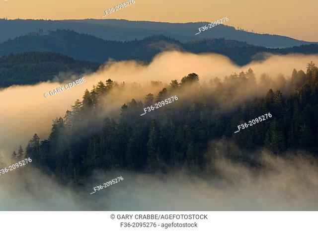 Sunrise light on coastal fog over hills near the mouth of the Klamath River, Redwood National Park, California