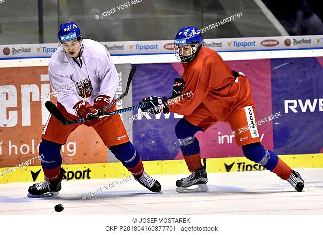 Czech hockey players DAVID TOMASEK, JAKUB GALVAS L-R in action during the training session prior to the upcoming Carlson Hockey Games