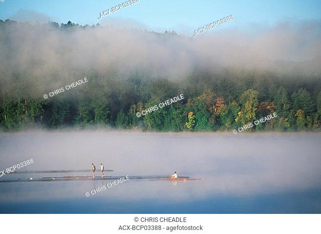 Elk Lake rowers in autumn mist, Victoria, Vancouver Island, British Columbia, Canada