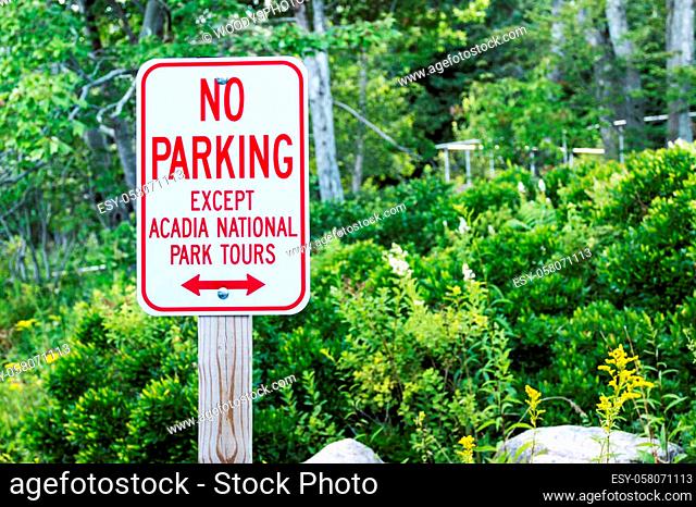 A no parking sign except for tour buses is on the side of the road in Acadia National Park Maine because thousand of tourists flock to the park in the summer