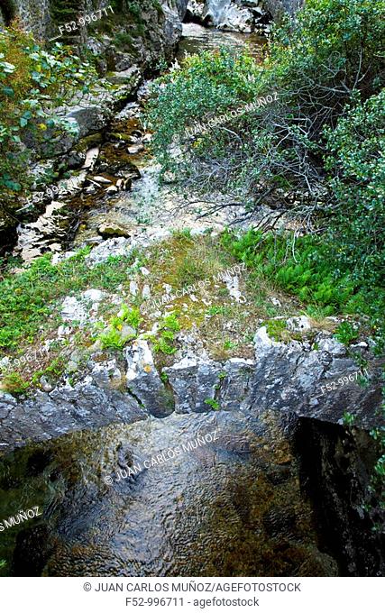 Urdon river. Deva basin. Desfilader de La Hermida. Cantabria. Spain