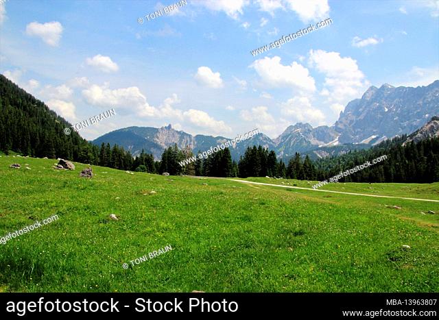 Germany, Bavaria, Upper Bavaria, Karwendel, mountains, Mittenwald, view of the alpine pastures of the Vereiner Alm, in the background the Karwendel mountains