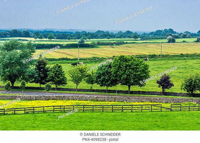 Republic of Ireland, County Tipperary, coutryside near Cashel