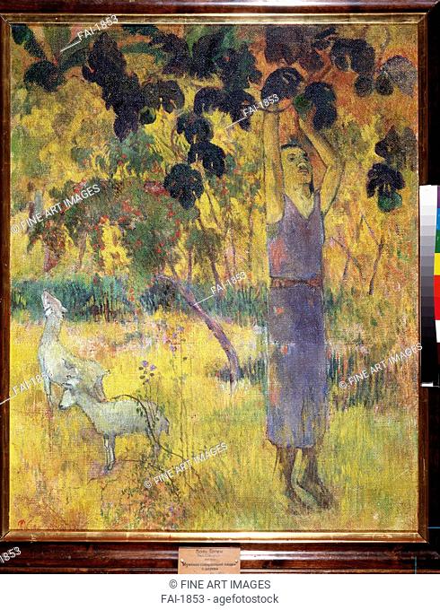 Man Picking Fruit from a Tree. Gauguin, Paul Eugéne Henri (1848-1903). Oil on canvas. Postimpressionism. 1897. State Hermitage, St. Petersburg