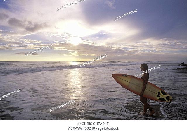 Costa Rica. Nicoya Peninsula. Beach at Santa Theresa, a premiere surfing destination. Surfer walks into sea