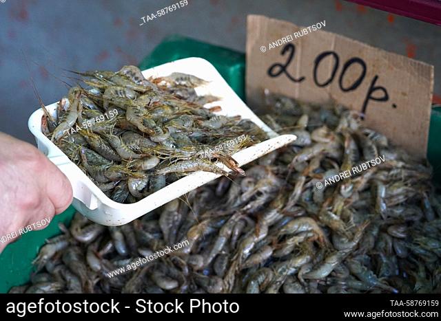 RUSSIA, GENICHESK - APRIL 30, 2023: Selling shrimps at a fish market. Andrei Rubtsov/TASS