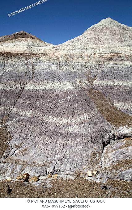 USA, Arizona, Petrified Forest National Park, Blue Mesa, Blue Mesa Trail, sedimentary layers of bluish bentonite clay with petrified wood
