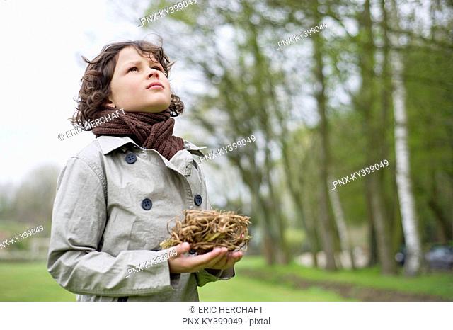 Close-up of a boy holding a bird's nest in a park