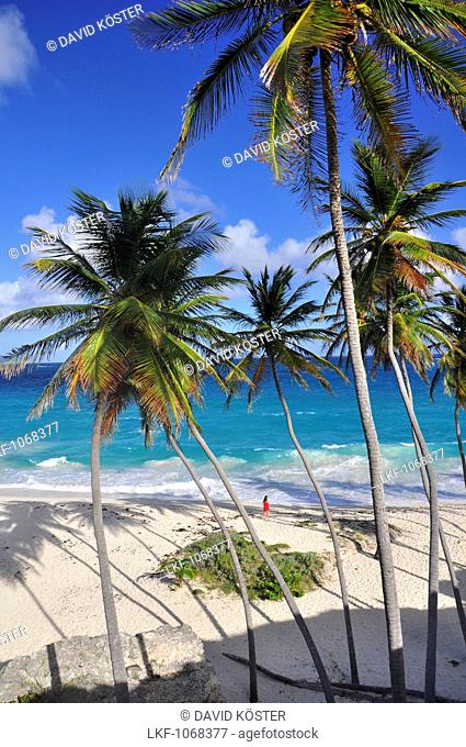 young woman on a tropical beach with palm trees, sea, Bottom Bay, south coast, Barbados, Lesser Antilles, West Indies, Windward Islands, Antilles, Caribbean
