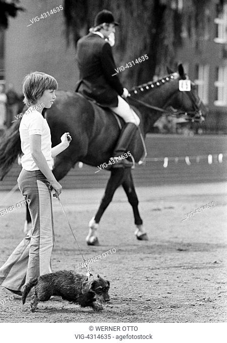 DEUTSCHLAND, BOTTROP, 06.07.1975, Seventies, black and white photo, human and animal, young boy walks a dog on a lead, in the background a dressage horse with...