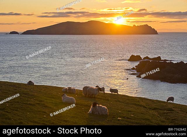 Sunset on the Great Blasket Islands, Dunquin, Dingle Peninsula, County Kerry, Ireland, Europe