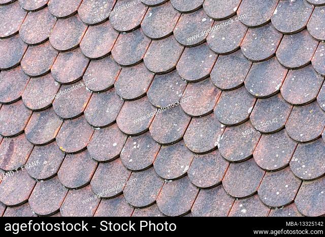 Old tiled roof with plain tiles