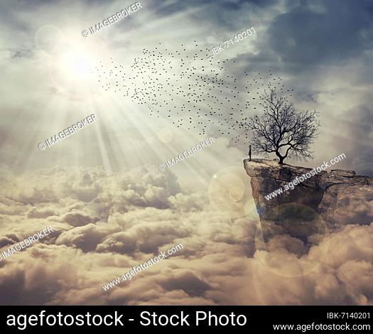 Young man standing on the peak of a cliff over clouds watching at a flock of birds flying from a strange, bare tree. The tree of death symbol