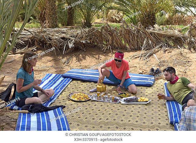 lunch of a group of bike hikers near the dunes of Tindouf, Draa River valley, Province of Zagora, Region Draa-Tafilalet, Morocco, North West Africa