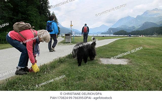 Picture of Christa Alder picking up the waste of her dog Henry, taken at a meadow near Sils lake in the canton of Graubunden, Switzerland, 21 July 2017