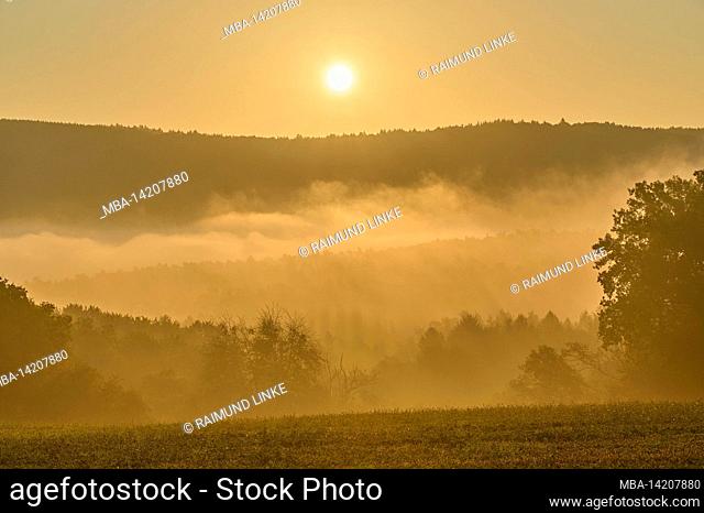 Forest, fog, autumn, sunrise, Großheubach, Spessart, Bavaria, Germany