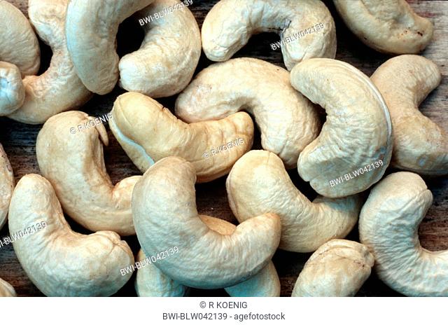 cashew nut Anacardium occidentale, nuts