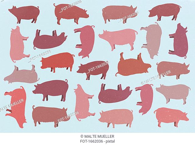 Full frame shot of pigs over blue background