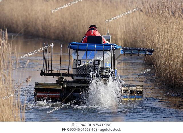 Truxor DM 5000 amphibious machine, controlling reedbed growth by cutting reeds back to keep water channels clear, Titchwell RSPB Reserve, Norfolk, England