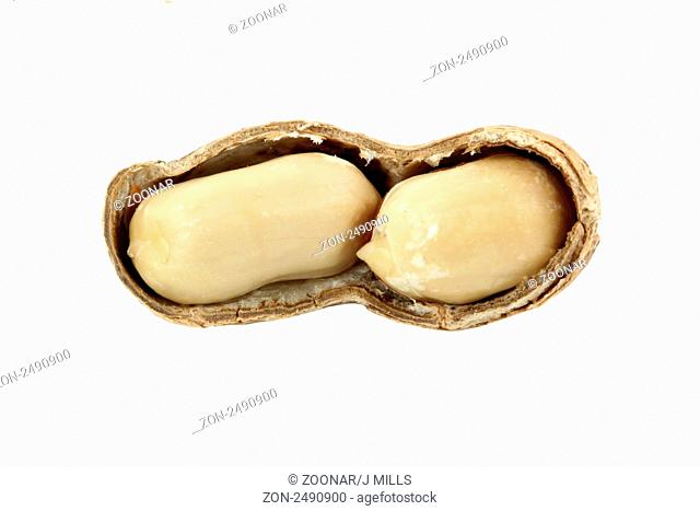 Islolated half open peanut with shell