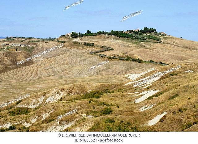Landscape south of Siena, with Biancane, dome-shaped formations, Crete Senesi, Tuscany, Italy, Europe