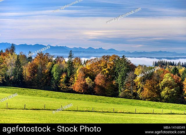germany, bavaria, upper bavaria, tölzer land, münsing, district degerndorf, autumn landscape against alpine chain, view from fürst-tegernberg at...