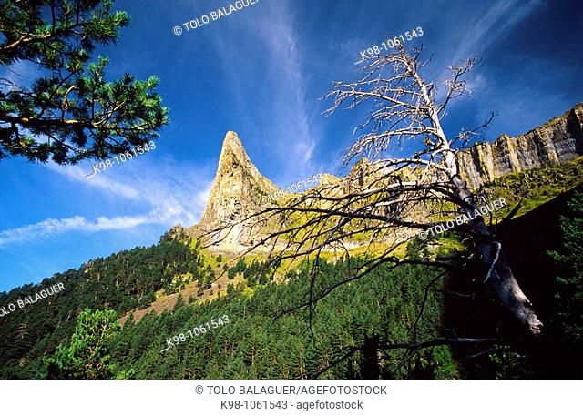 Tozal de Mallo, Valle de Ordesa, Ordesa National Park, Huesca province, Aragon, Spain