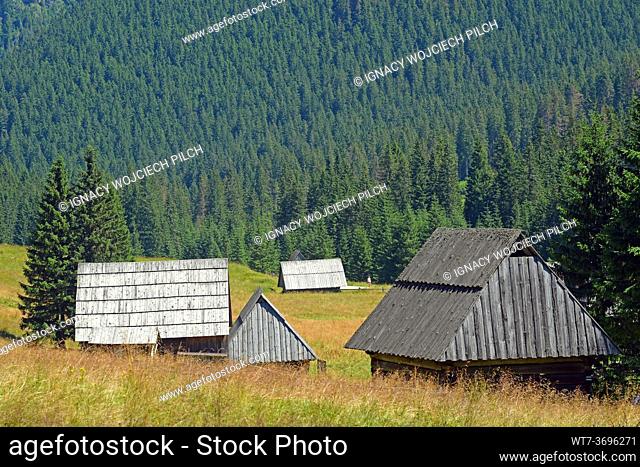Wooden huts in the Chocholowskka Clearing