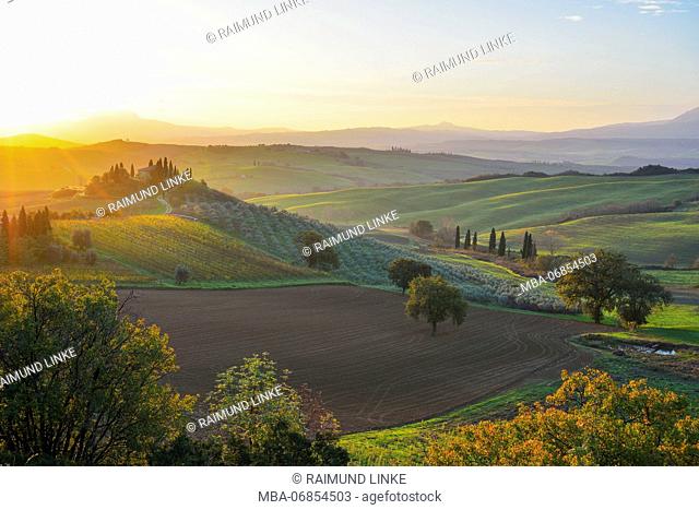 Tuscany countryside with farmhouse at sunset, San Quirico d'Orcia, Val d'Orcia, Provinz Siena, Tuscany, Italy