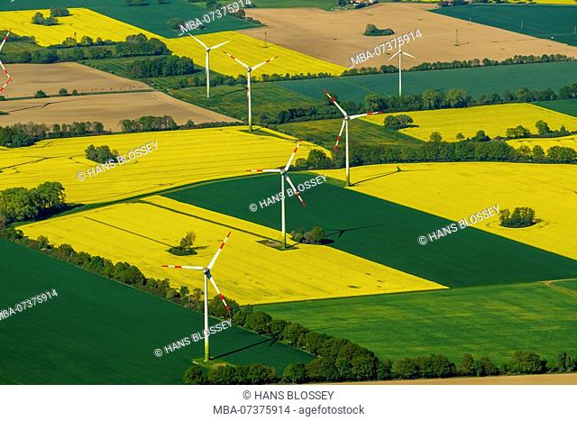 Meadows, flowering rapeseed fields and wind turbines near Perleberg, Perleberg, Brandenburg, Germany