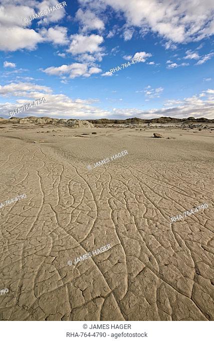 Cracked ground, Bisti Wilderness, New Mexico, United States of America, North America
