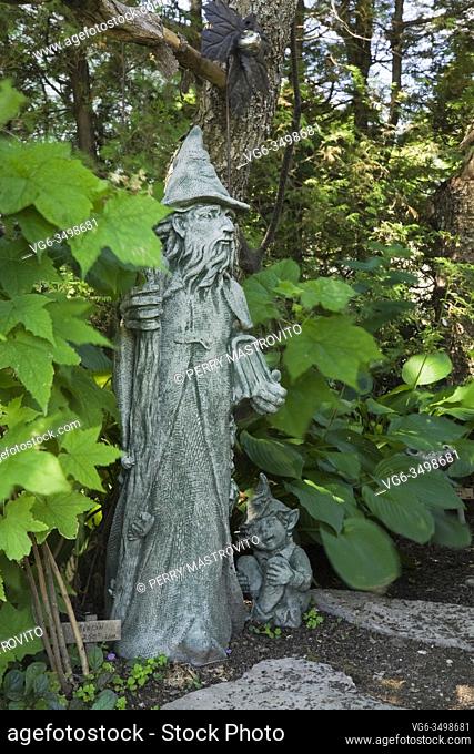 Statue of Merlin and leprechaun in backyard country garden in summer